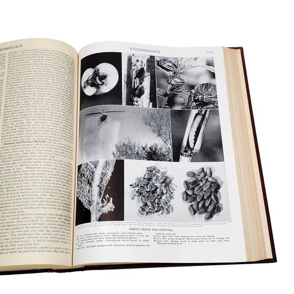 1959 Edition Encyclopedia Britannica Vtg HC Volume 8 EDWA to EXTRACT Educational - Picture 8 of 10